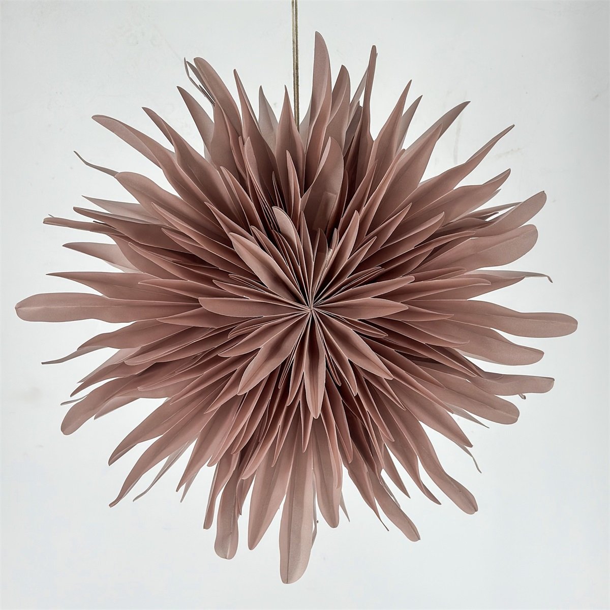 Kerstster 'Snow' oudroze