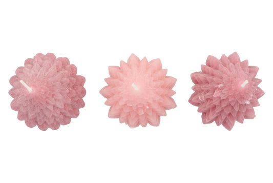 Kerstboomkaarsen Rozemix | 20 cm Geluk in bloei