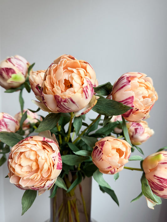 Boeket mix 12 pioenrozen | Peach Geluk in bloei