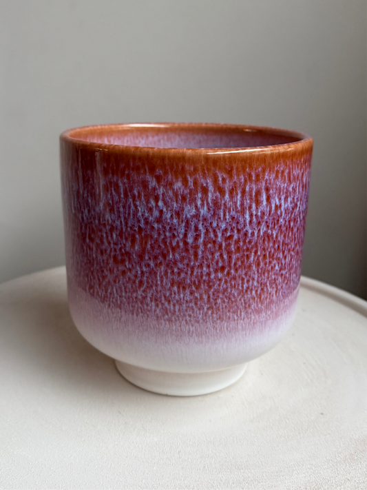 Pot Jade Rosso | 2 maten Geluk in bloei