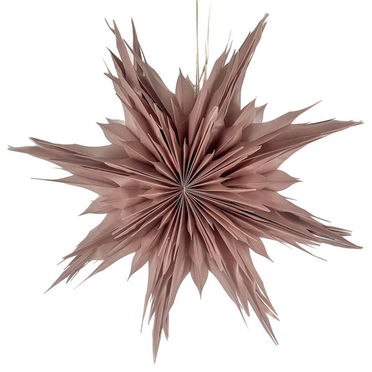 Kerstster 'Ice' oudroze