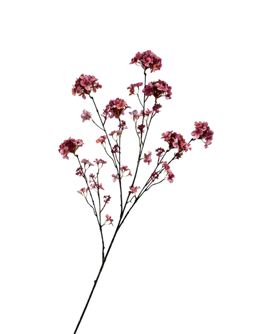 Hortensiatak mauve 109 cm Geluk in bloei