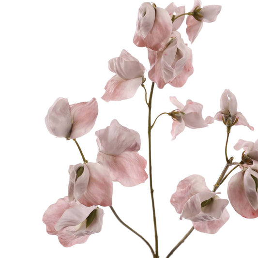 Real Touch Lathyrus Beige 66 cm | Geluk in Bloei Geluk in bloei