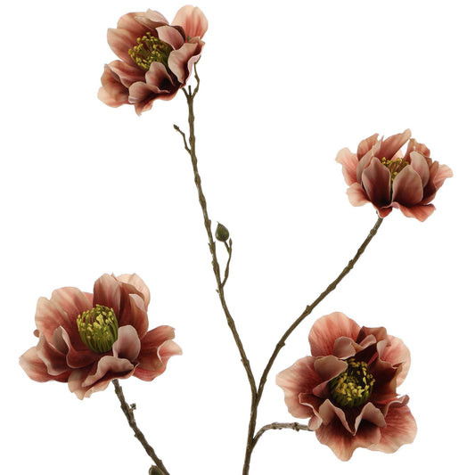 Winteranemoon 93 cm | Roze Geluk in bloei