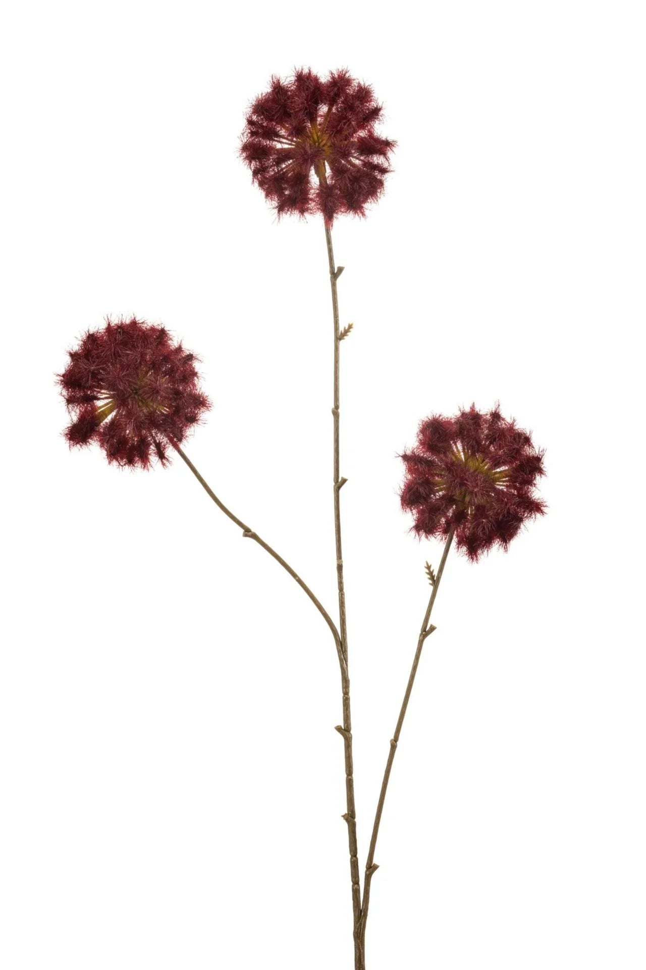 Dandelion spray burgundy | 80 cm Geluk in bloei