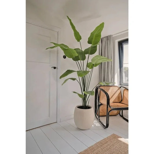 Strelitzia kunstplant | Diverse maten 120 - 210 cm