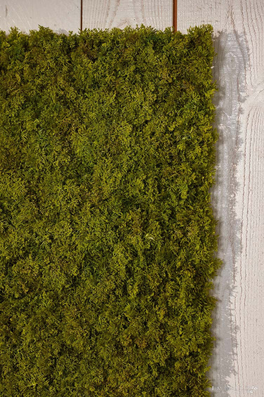 Deluxe Mosschilderij – luxe groene wanddecoratie Geluk in bloei