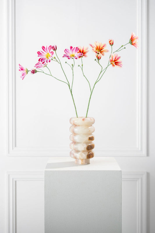 Margriet paars 65 cm Geluk in bloei