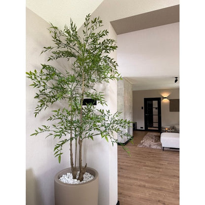 Ruscus kunstplant | Diverse maten 120 - 180 cm