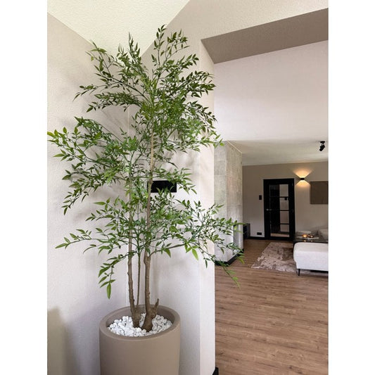 Ruscus kunstplant | Diverse maten 120 - 180 cm