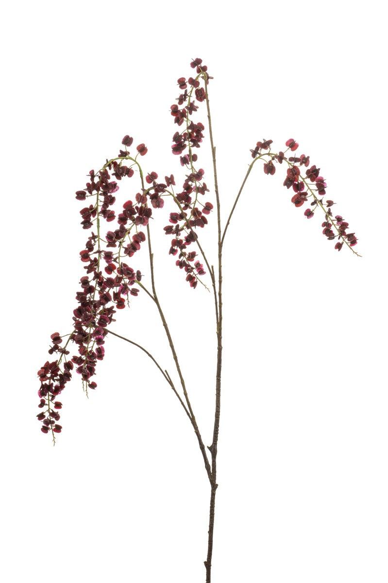 Lepidium spray burgundy | 110 cm Geluk in bloei