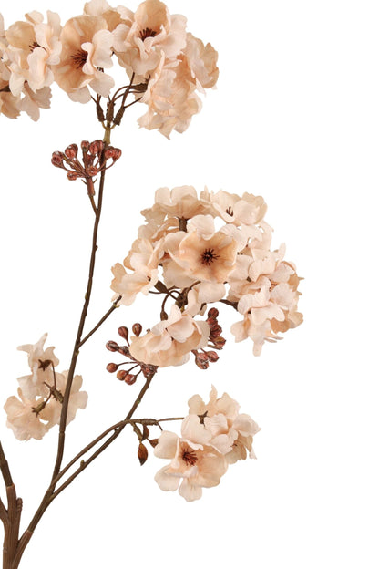 Bloesemtak 88 cm | Crème Geluk in bloei