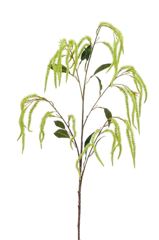 Amaranthus spray groen | 100 cm Geluk in bloei