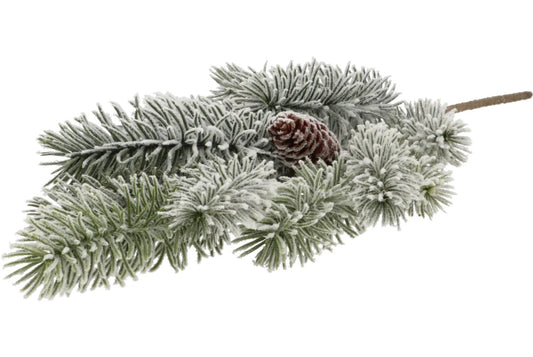 Dennentak met dennenappel en sneeuwlook