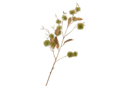 Kastanje tak met gouden blad