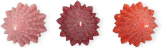 Kerstboomkaarsen Rode mix  | 12 cm Geluk in bloei