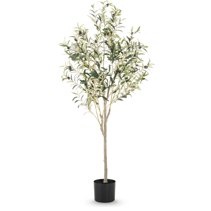 Olijfboom kunstplant | Diverse maten 120 - 180 cm