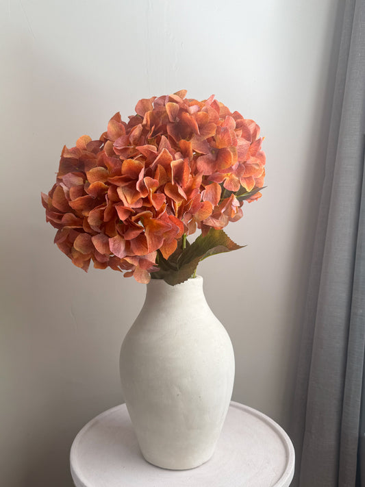 Hortensia Coral | 90 cm Geluk in bloei