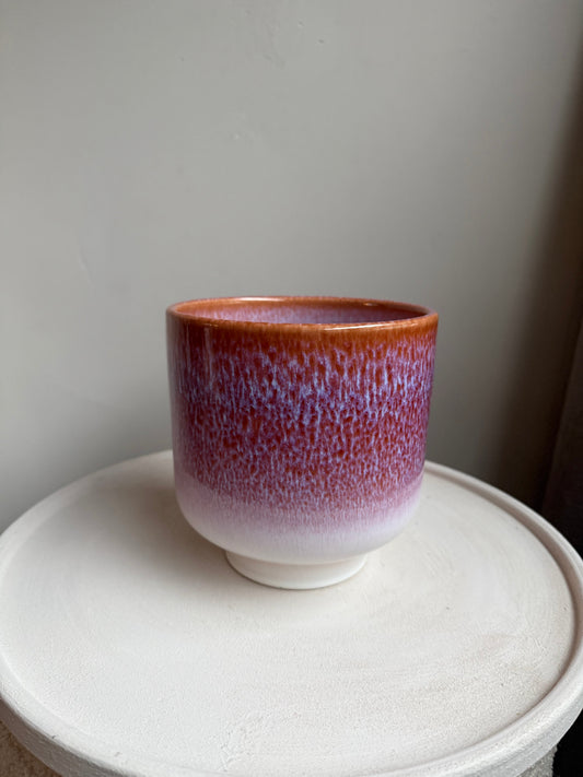 Pot Jade Rosso | 2 maten Geluk in bloei