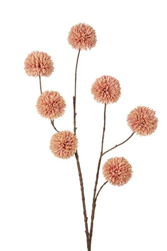 Pom pom tak | Champagne