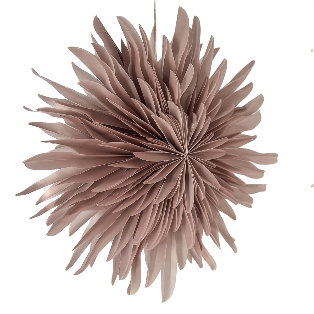 Kerstster 'Snow' oudroze