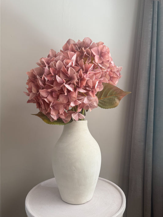 Hortensia Oudroze | 90 cm Geluk in bloei