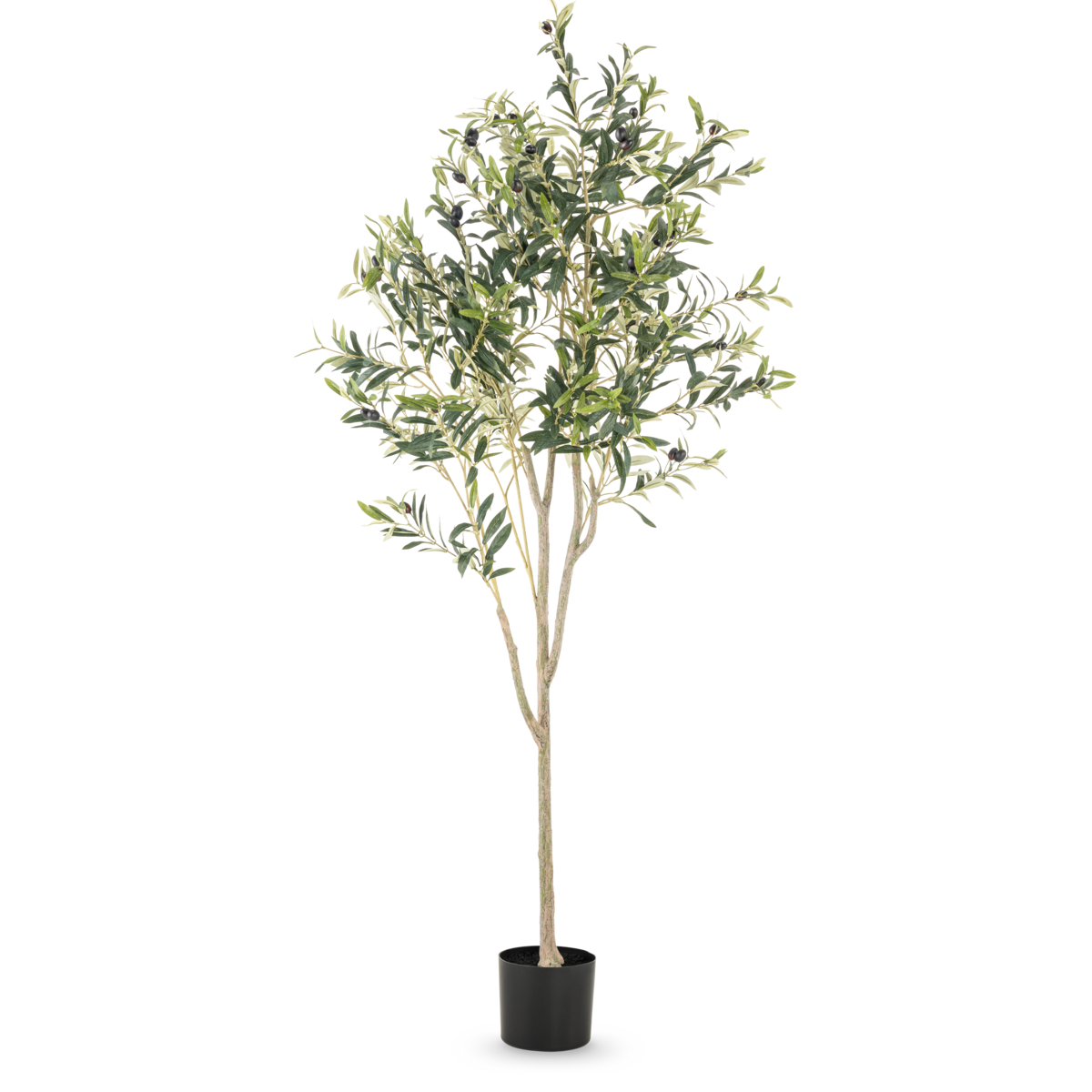 Olijfboom kunstplant | Diverse maten 120 - 180 cm