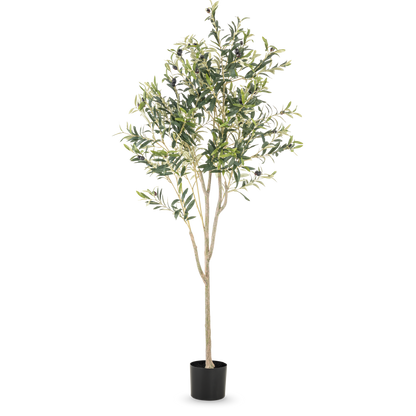 Olijfboom kunstplant | Diverse maten 120 - 180 cm