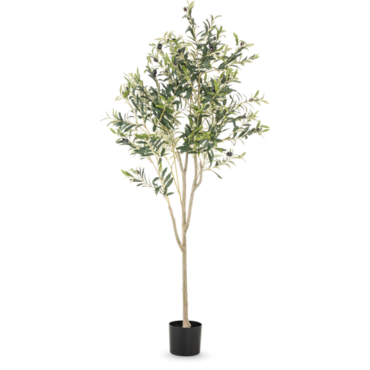 Olijfboom kunstplant | Diverse maten 120 - 180 cm