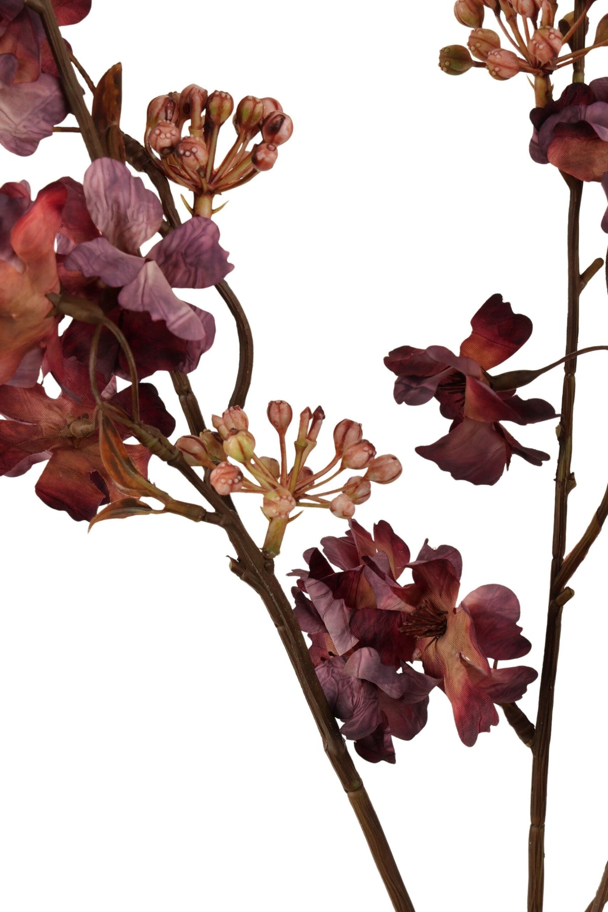 Bloesemtak 88 cm | Bordeaux Geluk in bloei