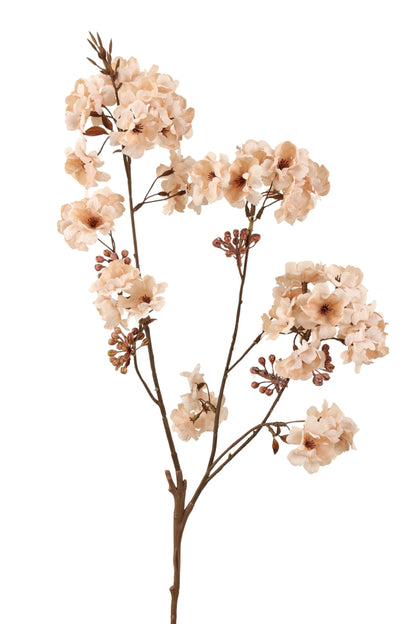 Bloesemtak 88 cm | Crème Geluk in bloei