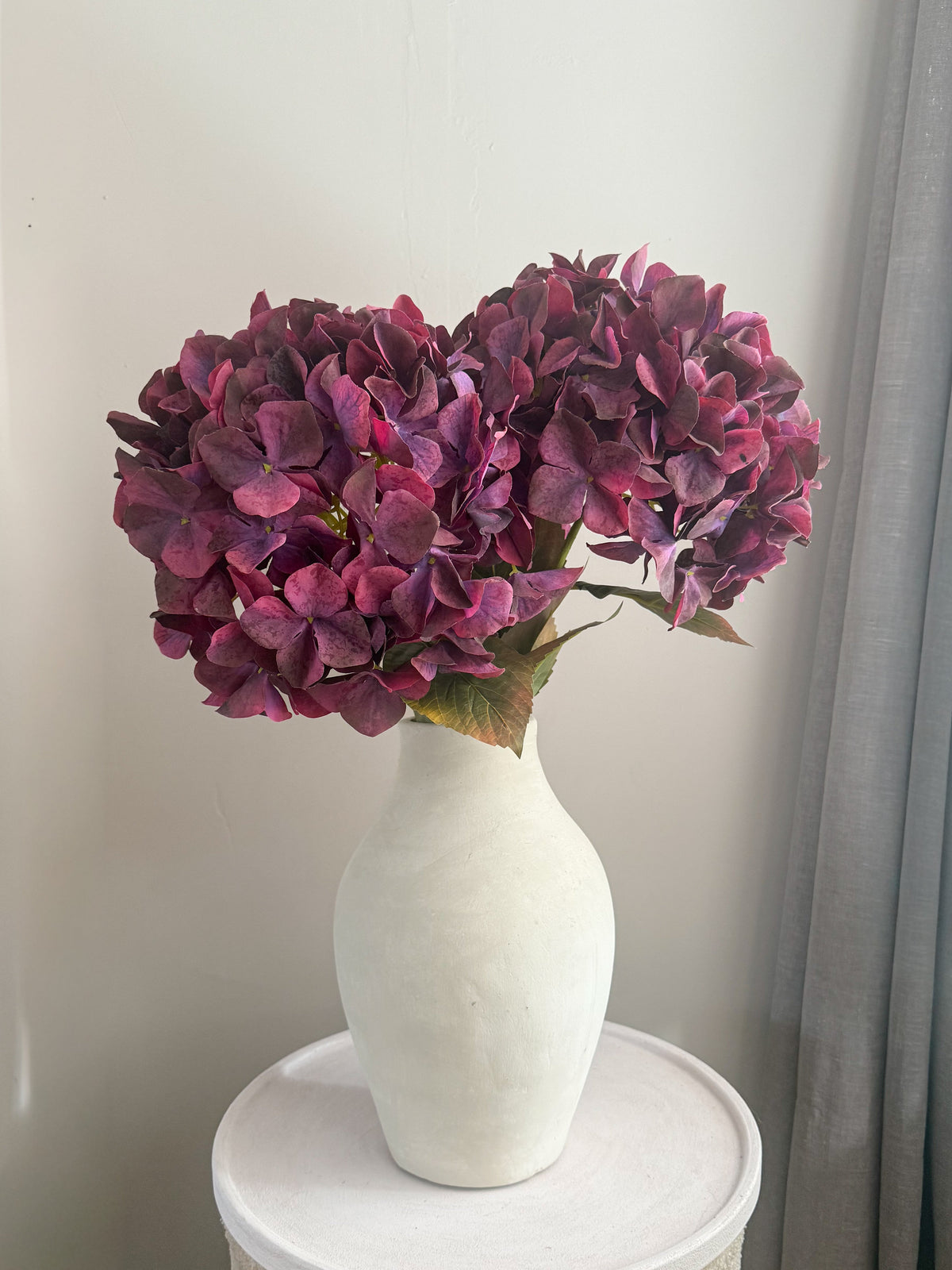 Hortensia paars | 90 cm Geluk in bloei