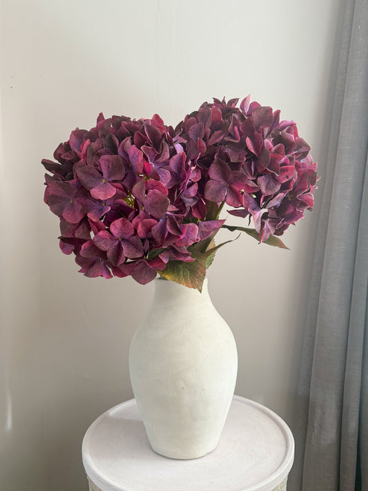 Hortensia paars | 90 cm Geluk in bloei