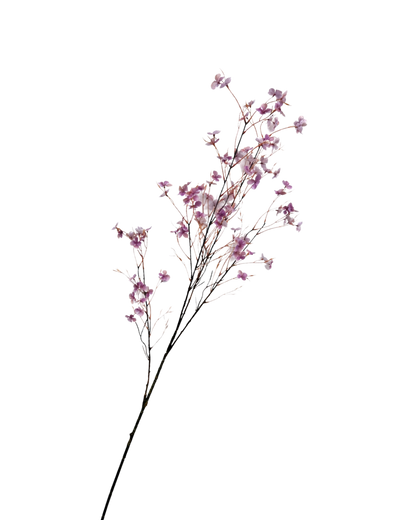 Bloesemtak mauve 132 cm Geluk in bloei