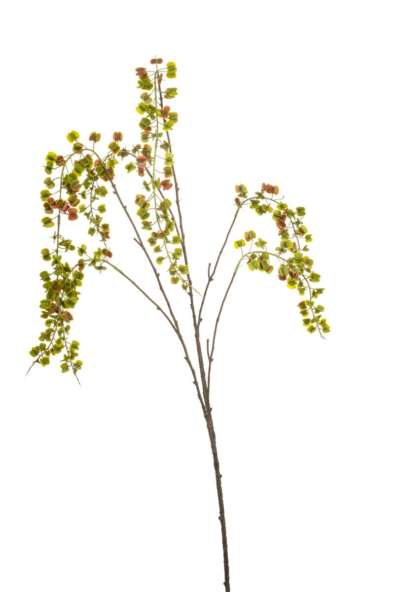 Lepidium spray green | 110 cm Geluk in bloei