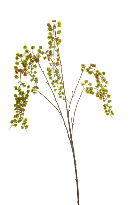 Lepidium spray green | 110 cm Geluk in bloei