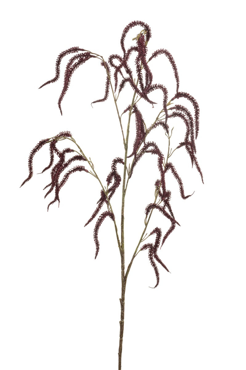 Amaranthus spray burgundy | 100 cm Geluk in bloei