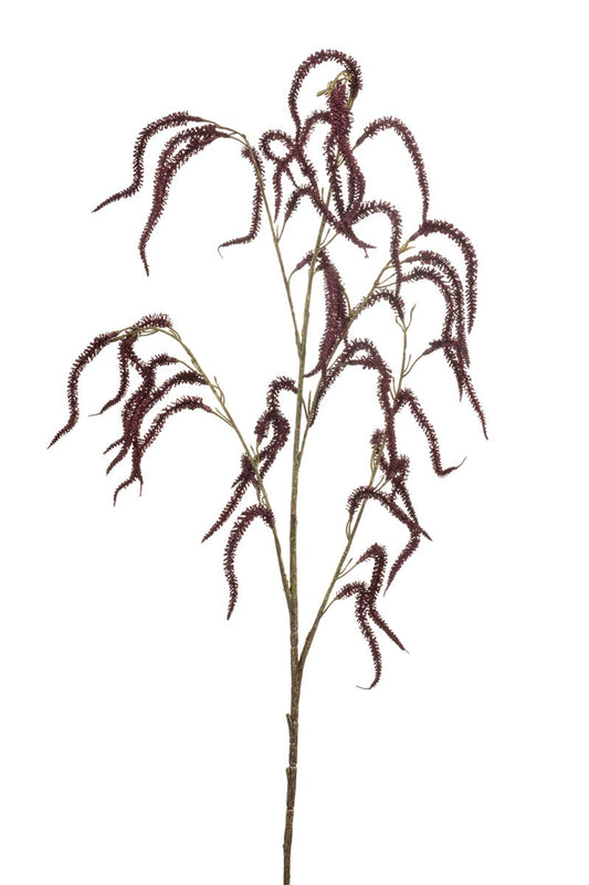 Amaranthus spray burgundy | 100 cm Geluk in bloei