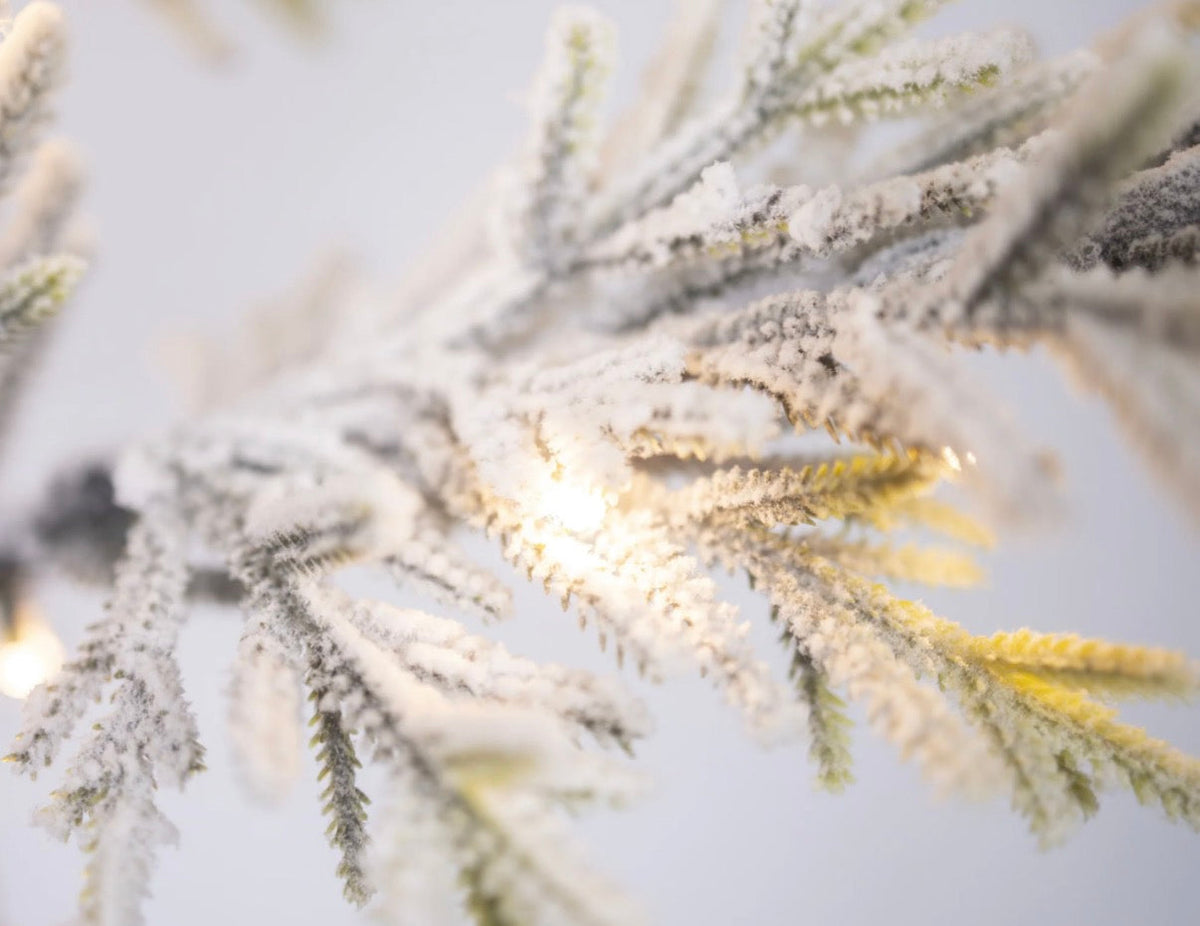 PRE-ORDER | LED Kerstboom Buiten met Verlichting | 150 & 180 cm Geluk in bloei