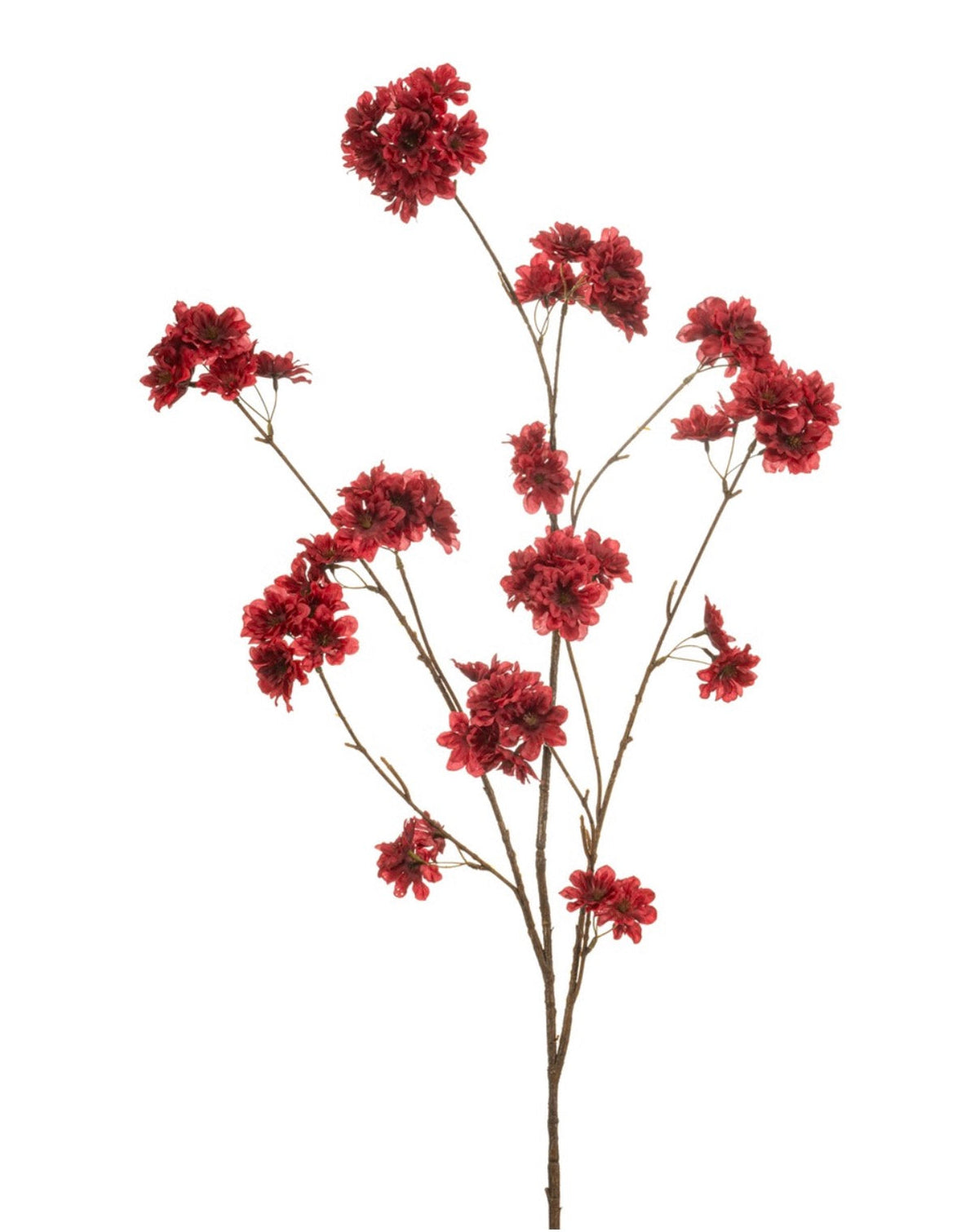 Bloesemtak Rood | 126 cm Geluk in bloei
