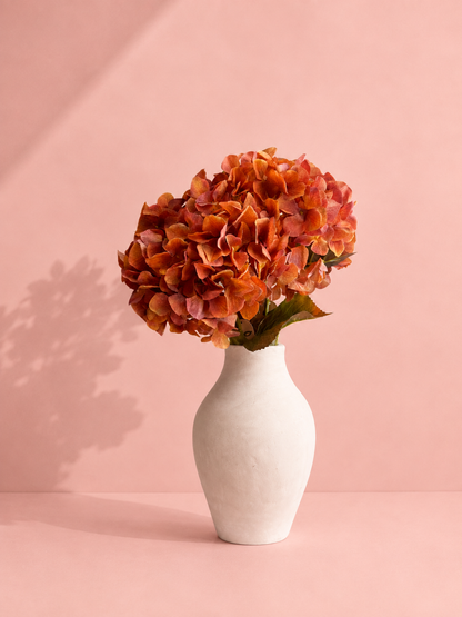 Hortensia Coral | 90 cm Geluk in bloei