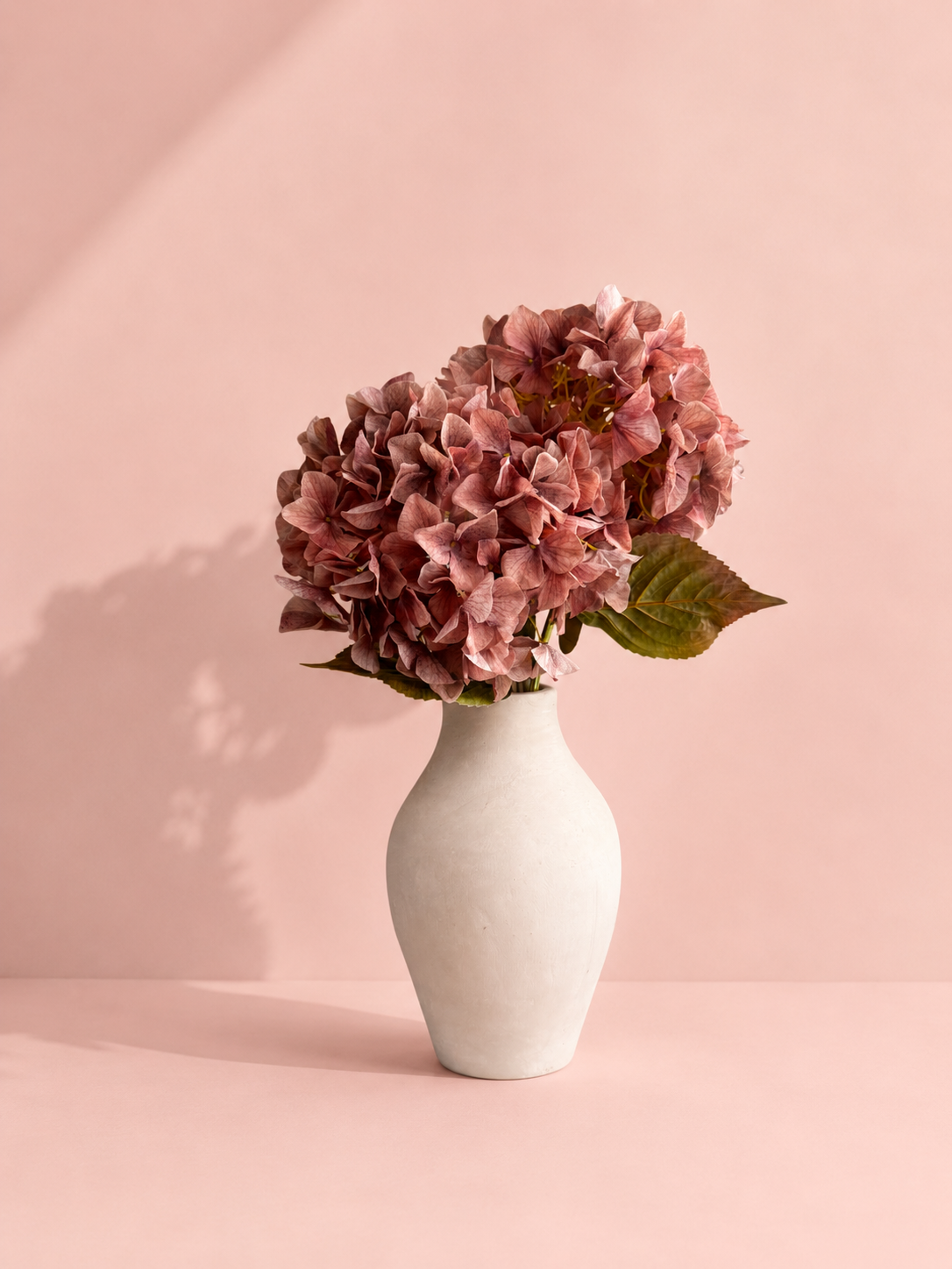Hortensia Oudroze | 90 cm Geluk in bloei