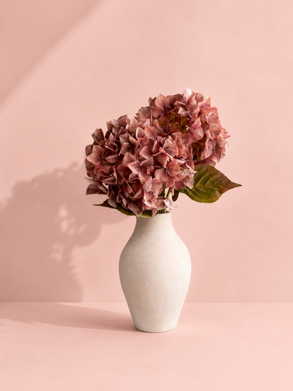Hortensia Oudroze | 90 cm Geluk in bloei