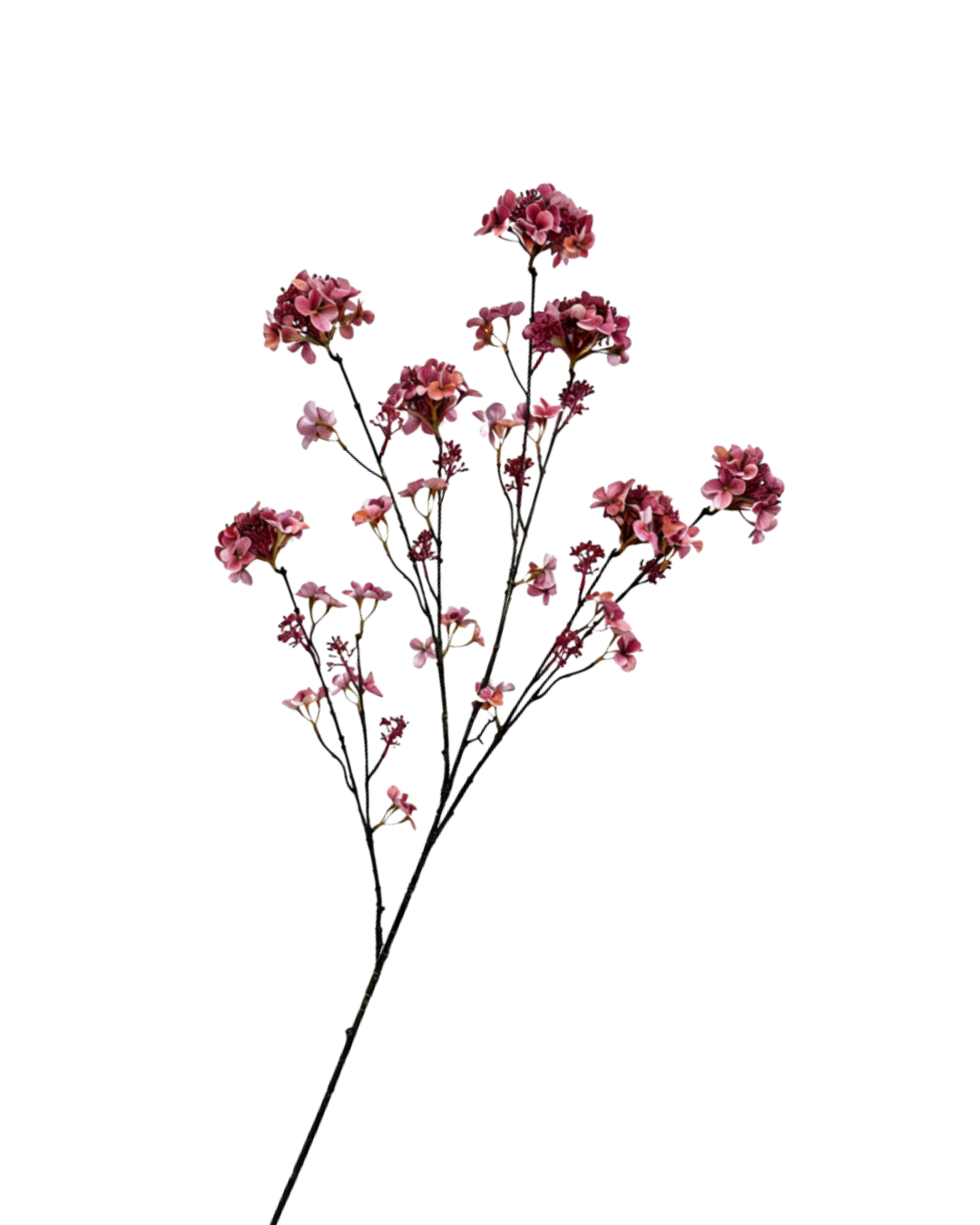 Hortensiatak mauve 109 cm Geluk in bloei