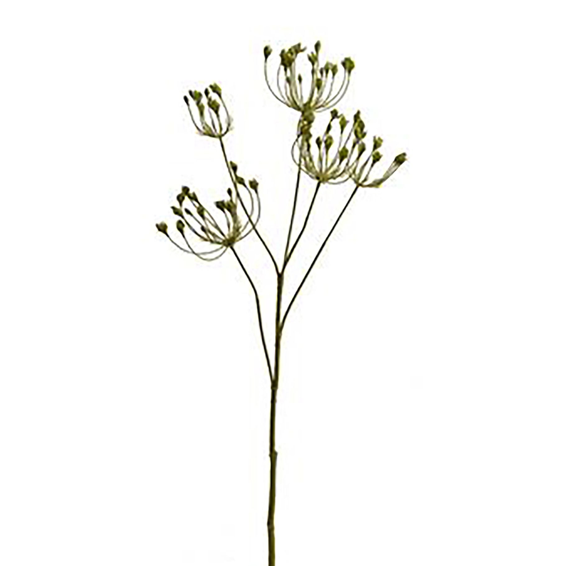 Kunstbloem Queen Anne groen | 82 cm Geluk in bloei