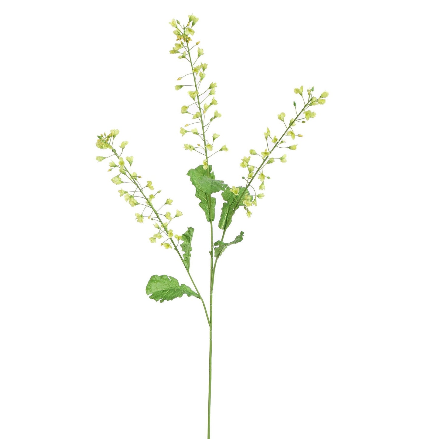 Kunstbloem Raapzaadbloem groen | 110 cm Geluk in bloei