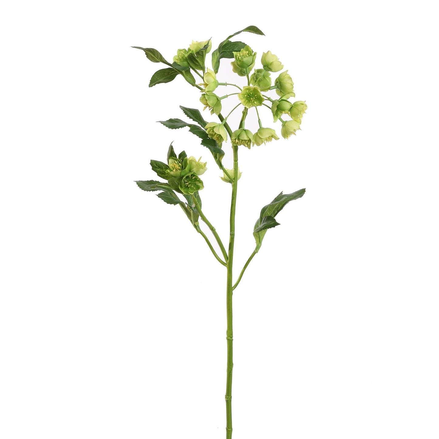 Kunstbloem Mathiasella Groen | 67 cm Geluk in bloei