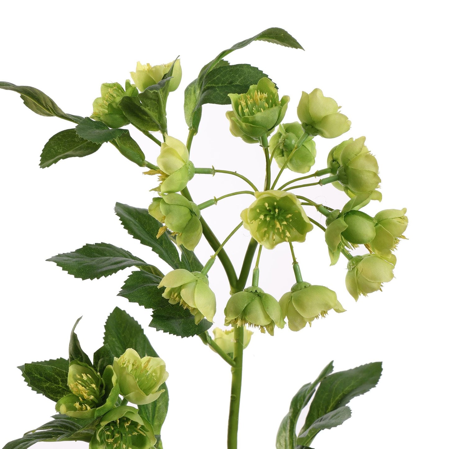 Kunstbloem Mathiasella Groen | 67 cm Geluk in bloei