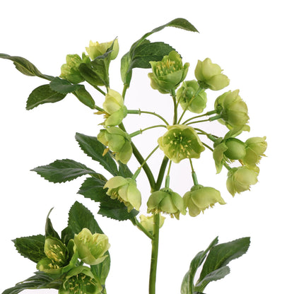 Kunstbloem Mathiasella Groen | 67 cm Geluk in bloei