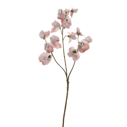 Real Touch Lathyrus Beige 66 cm | Geluk in Bloei Geluk in bloei